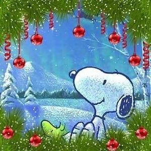 Meet your Posher, Marina